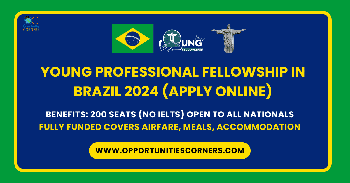 Young Professional Fellowship in Brazil 2024 (APPLY ONLINE)