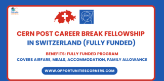 CERN Post Career Break Fellowship