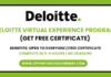 Deloitte Virtual Experience Program