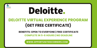 Deloitte Virtual Experience Program