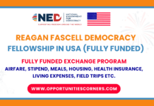 Reagan Fascell Democracy Fellowship 2026 in USA (Fully Funded) Reagan Fascell Democracy Fellowship