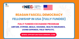 Reagan Fascell Democracy Fellowship