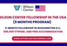 Wilson Center Fellowship 2026
