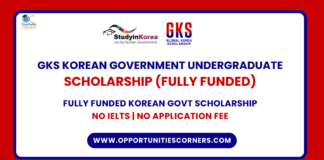 GKS Korean Government Undergraduate Scholarship 2025