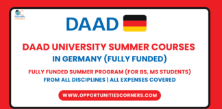 DAAD University Summer Courses