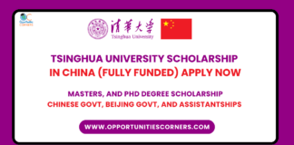 Tsinghua University Scholarship 2026