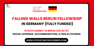Falling Walls Berlin Fellowship