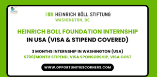 Heinrich Boll Foundation Internship