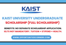 KAIST University Undergraduate Scholarship 2026 (Regular Track) KAIST University Undergraduate Scholarship