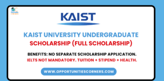KAIST University Undergraduate Scholarship
