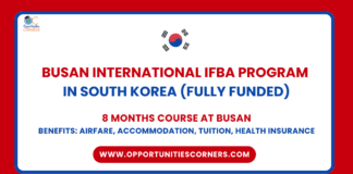 2025 Busan International IFBA Program