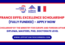 Eiffel Excellence Scholarship 2027 in France (Fully Funded) Eiffel Excellence Scholarship 2027 in France