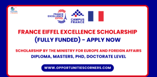 2025 France Eiffel Excellence Scholarship