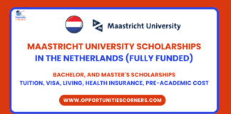 Maastricht University Scholarships 2026