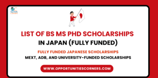 List of BS MS PhD Scholarships in Japan