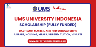 UMS Indonesia Scholarship 2025
