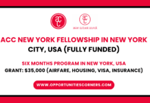 New York Fellowship 2028 in the USA (Fully Funded)