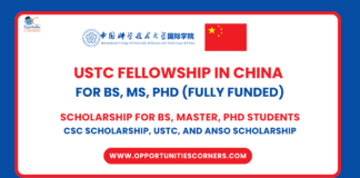 USTC Fellowship 2025