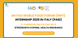 UN FAO World Food Forum (WFF) Internship