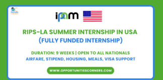 RIPS Summer Internship 2026