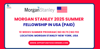Morgan Stanley 2025 Sustainable Summer Fellowship