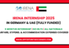 IRENA Internship 2025