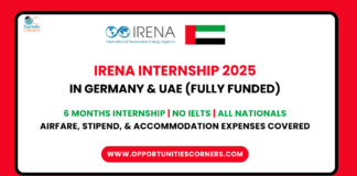 IRENA Internship 2025
