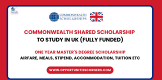 Commonwealth Shared Scholarship 2025
