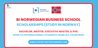 BI Norwegian Business School Scholarships