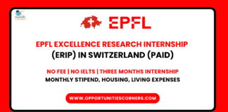 EPFL Excellence Research Internship