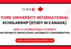York University International Scholarship