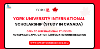 York University International Scholarship