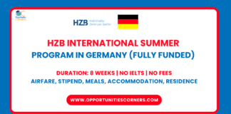 HZB International Summer Program