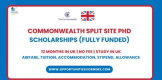 Commonwealth Split Site PhD Scholarships