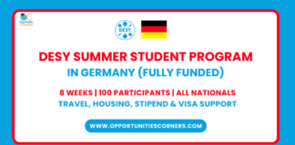 DESY Summer Student Program 2025