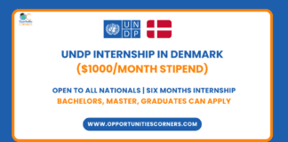 UNDP Internship 2026 in Denmark