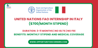 FAO Internship 2026