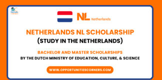 Netherlands NL Scholarship