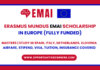Erasmus Mundus EMAI Scholarship