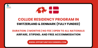 Collide Residency Program 2025
