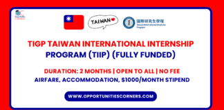 Taiwan International Internship Program 2025