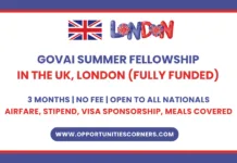 GovAI Summer Fellowship 2026 in London