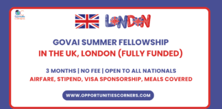 GovAI Summer Fellowship 2025