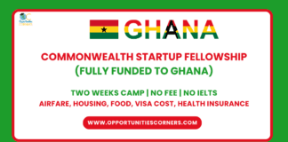 Commonwealth Startup Fellowship 2025