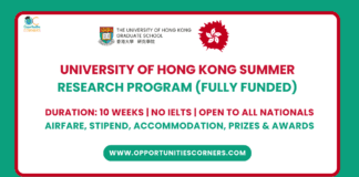University of Hong Kong Summer Program