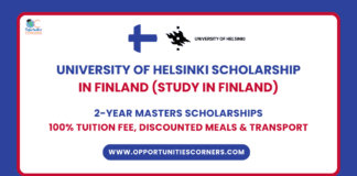 University of Helsinki Scholarship