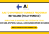 Aalto University International Summer Program