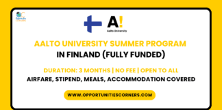 Aalto University International Summer Program