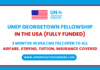 UNEP Georgetown Fellowship