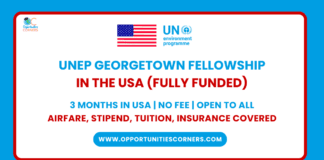 UNEP Georgetown Fellowship